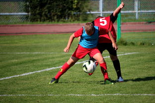 vwin德赢网页版-世界定向越野锦标赛中国获团体铜牌,国际定向越野联合会