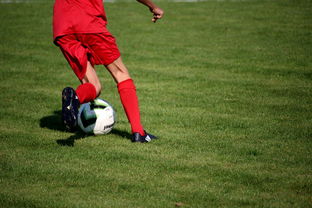 德赢平台官网-国足全队传球节奏同步评分系统,国足传球进自己球门